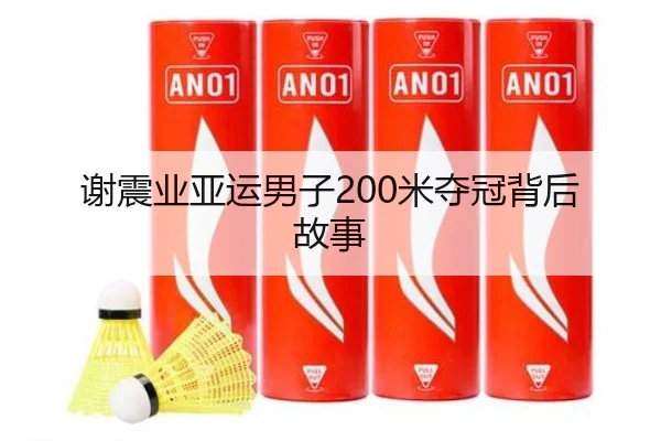 谢震业亚运男子200米夺冠背后故事